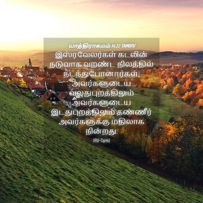 Picture 04 - யாத்திராகமம் 14:22 TAMIRV - இஸ்ரவேலர்கள் - Bible Verse Picture