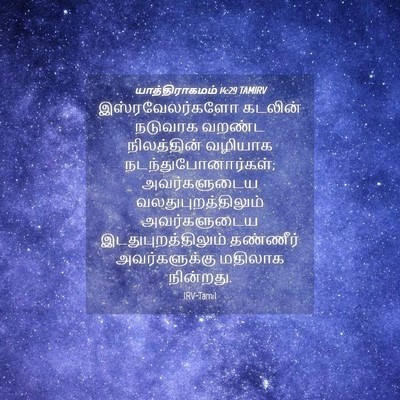 Picture 04 - யாத்திராகமம் 14:29 TAMIRV - இஸ்ரவேலர்களோ - Bible Verse Picture
