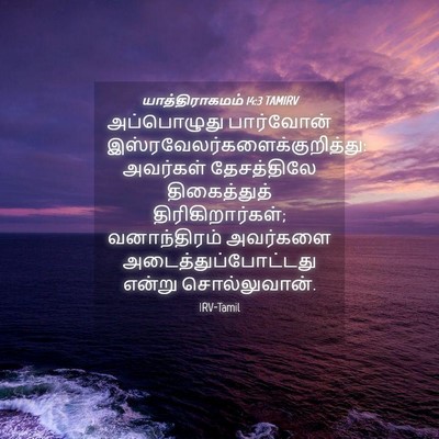 Picture 04 - யாத்திராகமம் 14:3 TAMIRV - அப்பொழுது - Bible Verse Picture