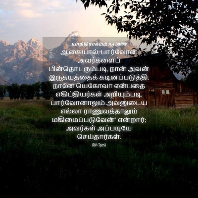 Picture 04 - யாத்திராகமம் 14:4 TAMIRV - ஆகையால், பார்வோன் - Bible Verse Picture