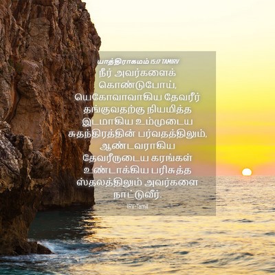 Picture 04 - யாத்திராகமம் 15:17 TAMIRV - நீர் அவர்களைக் - Bible Verse Picture