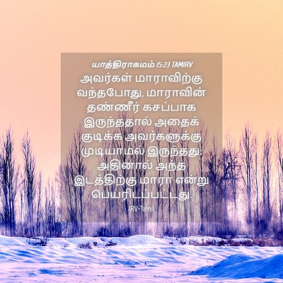 Picture 04 - யாத்திராகமம் 15:23 TAMIRV - அவர்கள் - Bible Verse Picture
