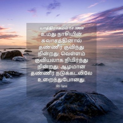 Picture 04 - யாத்திராகமம் 15:8 TAMIRV - உமது நாசியின் - Bible Verse Picture