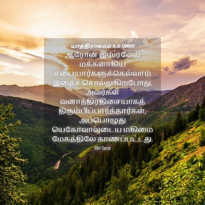 Picture 04 - யாத்திராகமம் 16:10 TAMIRV - ஆரோன் இஸ்ரவேல் - Bible Verse Picture