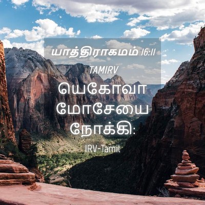 Picture 04 - யாத்திராகமம் 16:11 TAMIRV - யெகோவா மோசேயை - Bible Verse Picture
