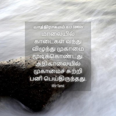 Picture 04 - யாத்திராகமம் 16:13 TAMIRV - மாலையில் காடைகள் - Bible Verse Picture