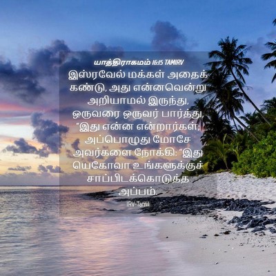 Picture 04 - யாத்திராகமம் 16:15 TAMIRV - இஸ்ரவேல் மக்கள் - Bible Verse Picture