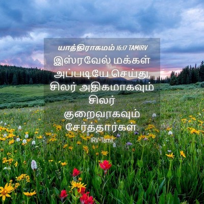 Picture 04 - யாத்திராகமம் 16:17 TAMIRV - இஸ்ரவேல் மக்கள் - Bible Verse Picture
