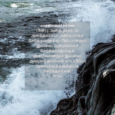 Picture 04 - யாத்திராகமம் 16:18 TAMIRV - பின்பு, அதை ஓமரால் - Bible Verse Picture