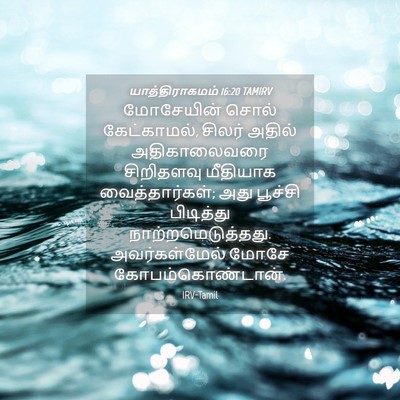 Picture 04 - யாத்திராகமம் 16:20 TAMIRV - மோசேயின் சொல் - Bible Verse Picture