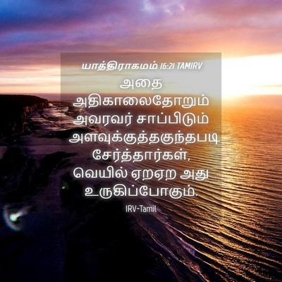 Picture 04 - யாத்திராகமம் 16:21 TAMIRV - அதை அதிகாலைதோறும் - Bible Verse Picture