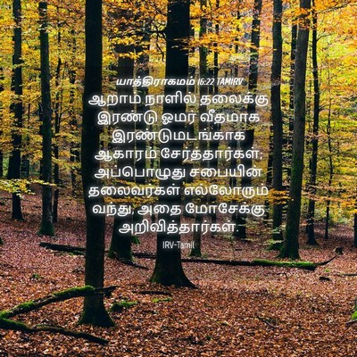 Picture 04 - யாத்திராகமம் 16:22 TAMIRV - ஆறாம் நாளில் - Bible Verse Picture