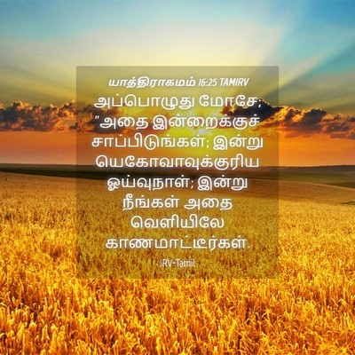 Picture 04 - யாத்திராகமம் 16:25 TAMIRV - அப்பொழுது மோசே; - Bible Verse Picture