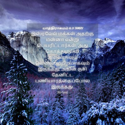 Picture 04 - யாத்திராகமம் 16:31 TAMIRV - இஸ்ரவேல் மக்கள் - Bible Verse Picture