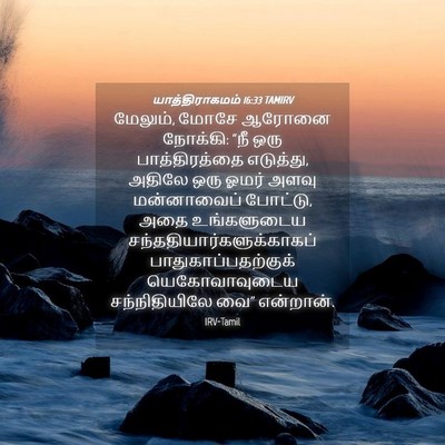 Picture 04 - யாத்திராகமம் 16:33 TAMIRV - மேலும், மோசே ஆரோனை - Bible Verse Picture