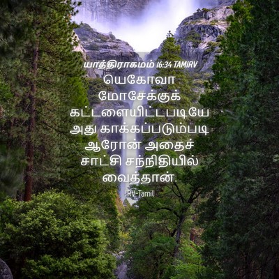 Picture 04 - யாத்திராகமம் 16:34 TAMIRV - யெகோவா மோசேக்குக் - Bible Verse Picture