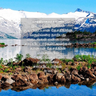 Picture 04 - யாத்திராகமம் 16:35 TAMIRV - இஸ்ரவேல் மக்கள் - Bible Verse Picture