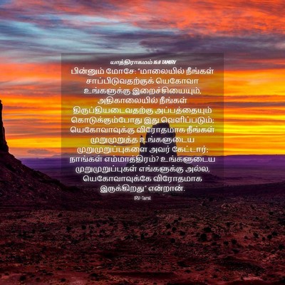 Picture 04 - யாத்திராகமம் 16:8 TAMIRV - பின்னும் மோசே: - Bible Verse Picture