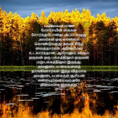 Picture 04 - யாத்திராகமம் 17:12 TAMIRV - மோசேயின் கைகள் - Bible Verse Picture