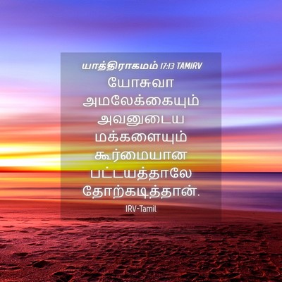 Picture 04 - யாத்திராகமம் 17:13 TAMIRV - யோசுவா - Bible Verse Picture