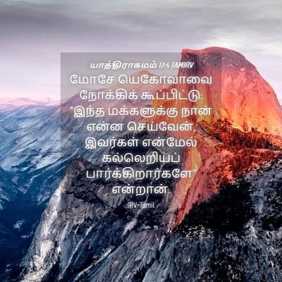 Picture 04 - யாத்திராகமம் 17:4 TAMIRV - மோசே யெகோவாவை - Bible Verse Picture