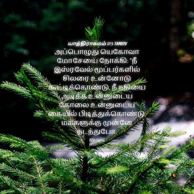 Picture 04 - யாத்திராகமம் 17:5 TAMIRV - அப்பொழுது யெகோவா - Bible Verse Picture