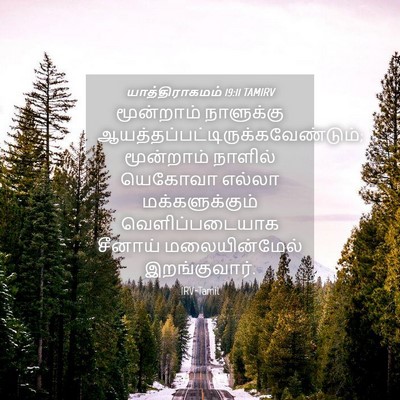 Picture 04 - யாத்திராகமம் 19:11 TAMIRV - மூன்றாம் நாளுக்கு - Bible Verse Picture