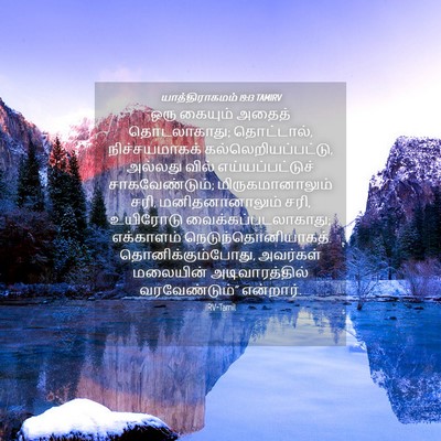 Picture 04 - யாத்திராகமம் 19:13 TAMIRV - ஒரு கையும் அதைத் - Bible Verse Picture