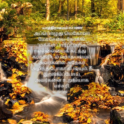 Picture 04 - யாத்திராகமம் 19:21 TAMIRV - அப்பொழுது யெகோவா - Bible Verse Picture