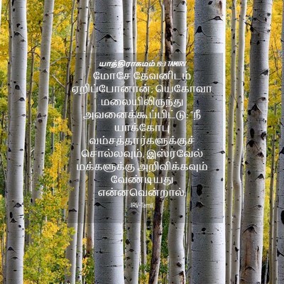 Picture 04 - யாத்திராகமம் 19:3 TAMIRV - மோசே தேவனிடம் - Bible Verse Picture
