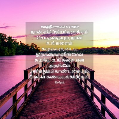 Picture 04 - யாத்திராகமம் 19:4 TAMIRV - நான் - Bible Verse Picture