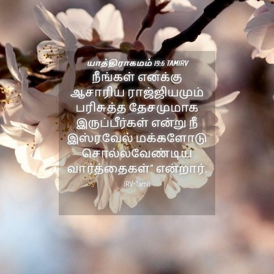 Picture 04 - யாத்திராகமம் 19:6 TAMIRV - நீங்கள் எனக்கு - Bible Verse Picture