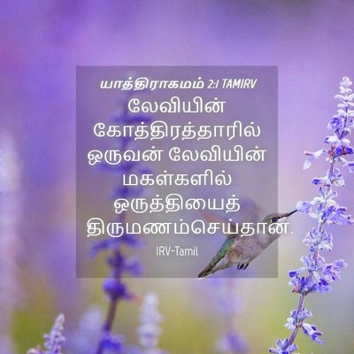 Picture 04 - யாத்திராகமம் 2:1 TAMIRV - லேவியின் - Bible Verse Picture