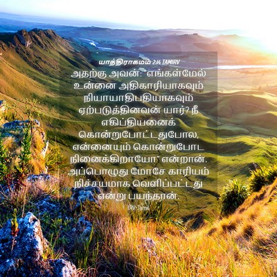 Picture 04 - யாத்திராகமம் 2:14 TAMIRV - அதற்கு அவன்: - Bible Verse Picture
