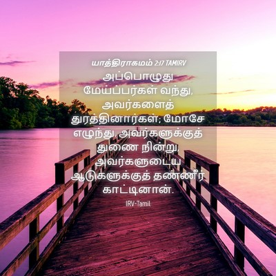 Picture 04 - யாத்திராகமம் 2:17 TAMIRV - அப்பொழுது - Bible Verse Picture