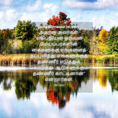 Picture 04 - யாத்திராகமம் 2:19 TAMIRV - அதற்கு அவர்கள்: - Bible Verse Picture