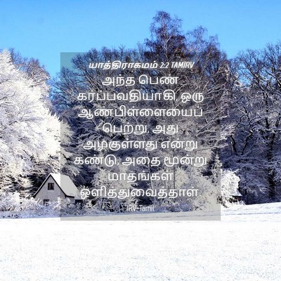 Picture 04 - யாத்திராகமம் 2:2 TAMIRV - அந்த பெண் - Bible Verse Picture
