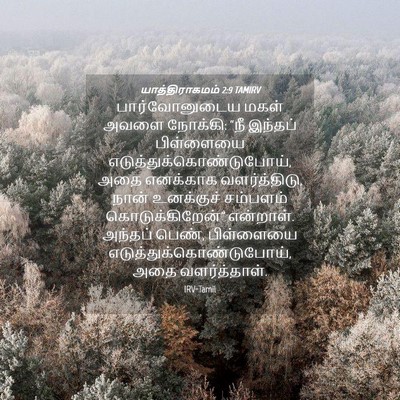 Picture 04 - யாத்திராகமம் 2:9 TAMIRV - பார்வோனுடைய மகள் - Bible Verse Picture