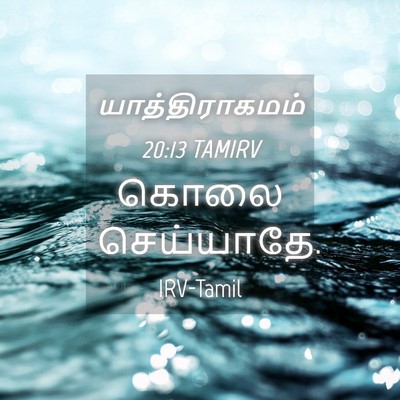 Picture 04 - யாத்திராகமம் 20:13 TAMIRV - கொலை - Bible Verse Picture