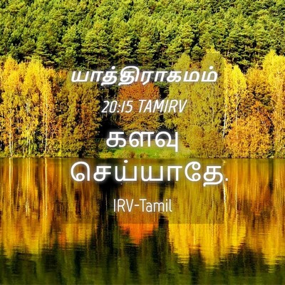 Picture 04 - யாத்திராகமம் 20:15 TAMIRV - களவு - Bible Verse Picture