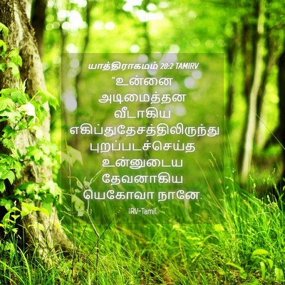 Picture 04 - யாத்திராகமம் 20:2 TAMIRV - “உன்னை அடிமைத்தன - Bible Verse Picture