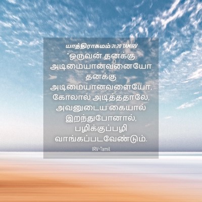 Picture 04 - யாத்திராகமம் 21:20 TAMIRV - “ஒருவன் தனக்கு - Bible Verse Picture