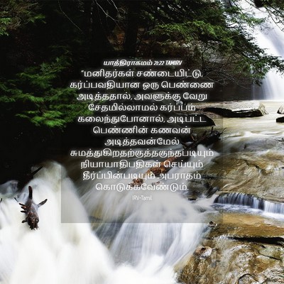 Picture 04 - யாத்திராகமம் 21:22 TAMIRV - “மனிதர்கள் - Bible Verse Picture