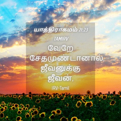 Picture 04 - யாத்திராகமம் 21:23 TAMIRV - வேறே - Bible Verse Picture