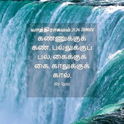 Picture 04 - யாத்திராகமம் 21:24 TAMIRV - கண்ணுக்குக் கண், - Bible Verse Picture