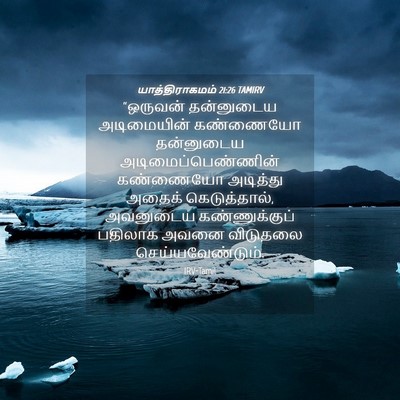Picture 04 - யாத்திராகமம் 21:26 TAMIRV - “ஒருவன் தன்னுடைய - Bible Verse Picture