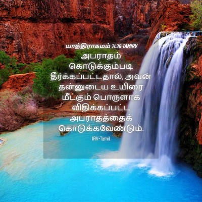 Picture 04 - யாத்திராகமம் 21:30 TAMIRV - அபராதம் - Bible Verse Picture