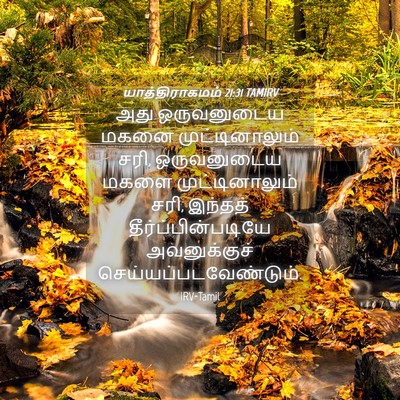 Picture 04 - யாத்திராகமம் 21:31 TAMIRV - அது ஒருவனுடைய - Bible Verse Picture