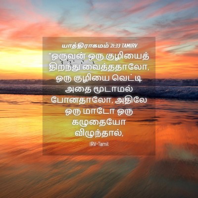 Picture 04 - யாத்திராகமம் 21:33 TAMIRV - “ஒருவன் ஒரு - Bible Verse Picture