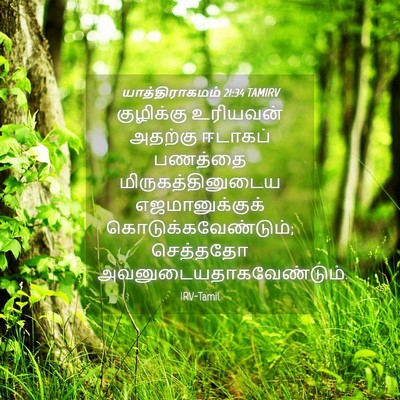 Picture 04 - யாத்திராகமம் 21:34 TAMIRV - குழிக்கு உரியவன் - Bible Verse Picture
